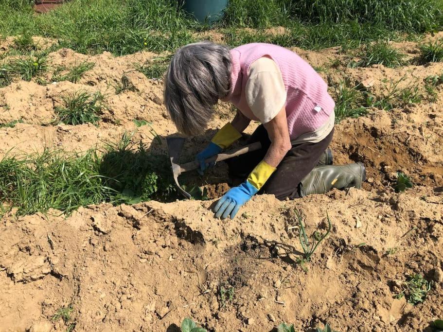시에나 La Vigna Agriturismo 빌라 외부 사진