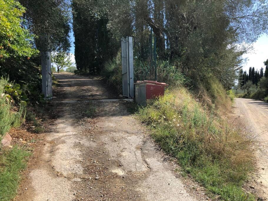 시에나 La Vigna Agriturismo 빌라 외부 사진