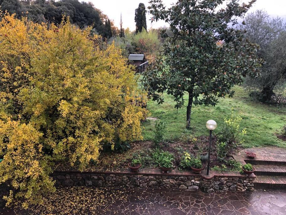 시에나 La Vigna Agriturismo 빌라 외부 사진