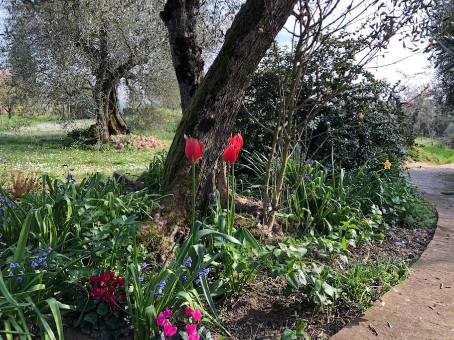 시에나 La Vigna Agriturismo 빌라 외부 사진