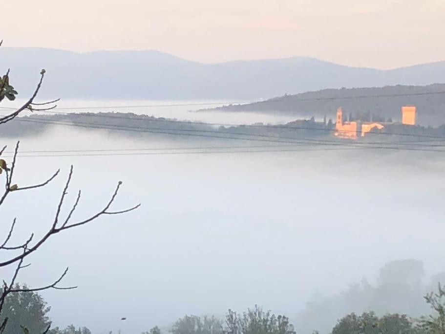 시에나 La Vigna Agriturismo 빌라 외부 사진