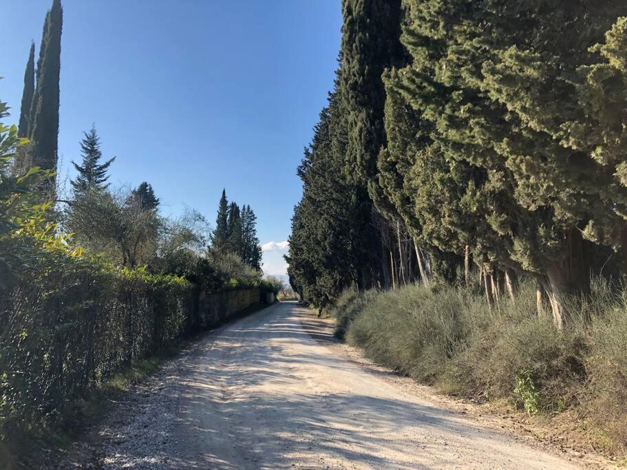 시에나 La Vigna Agriturismo 빌라 외부 사진