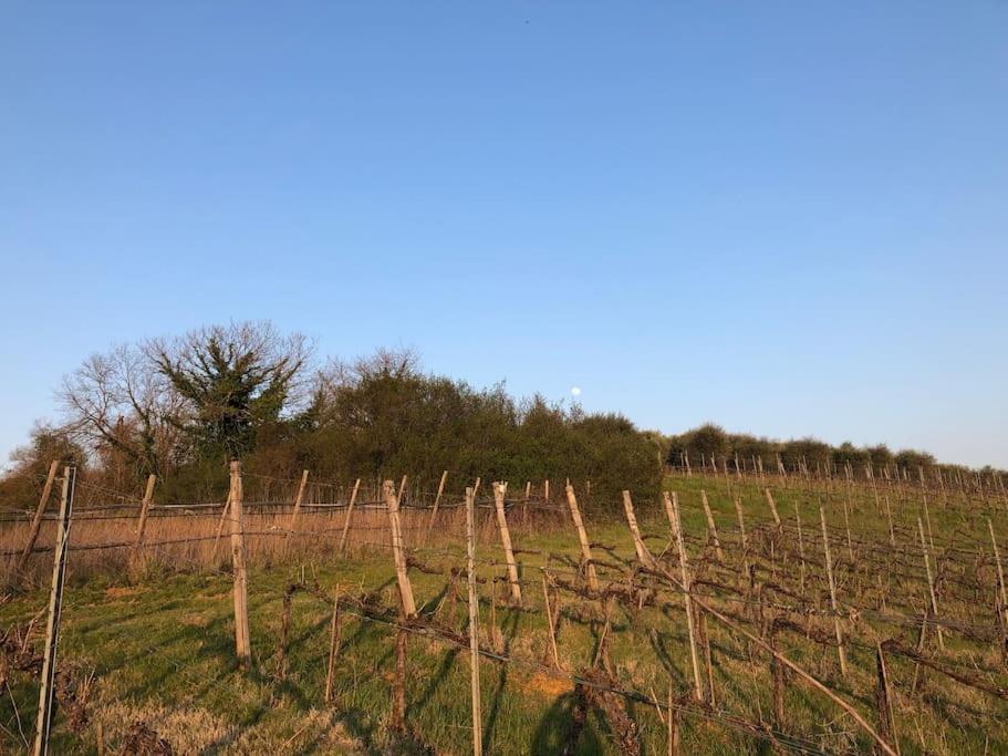 시에나 La Vigna Agriturismo 빌라 외부 사진