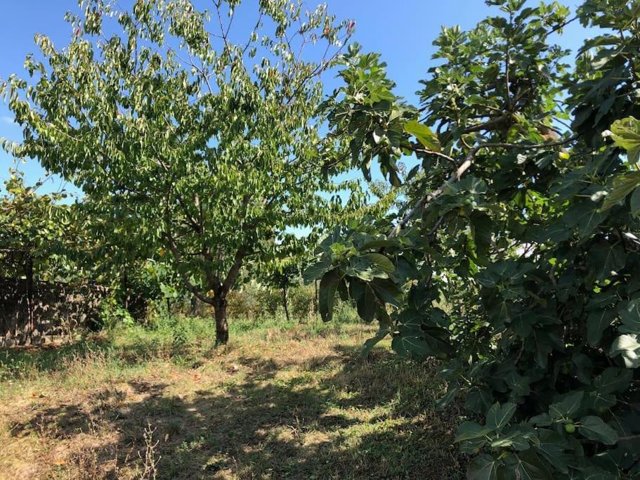 시에나 La Vigna Agriturismo 빌라 외부 사진