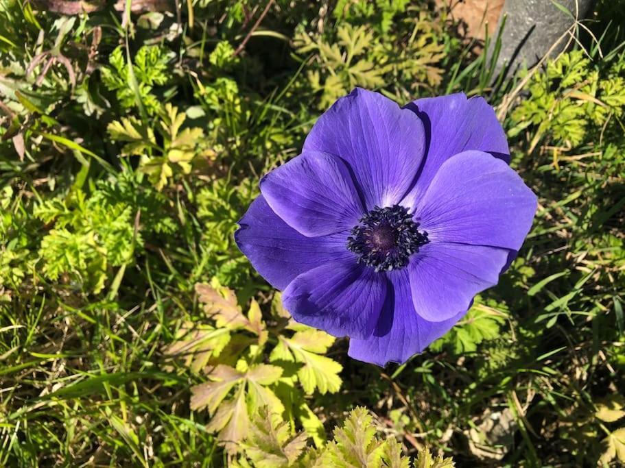 시에나 La Vigna Agriturismo 빌라 외부 사진