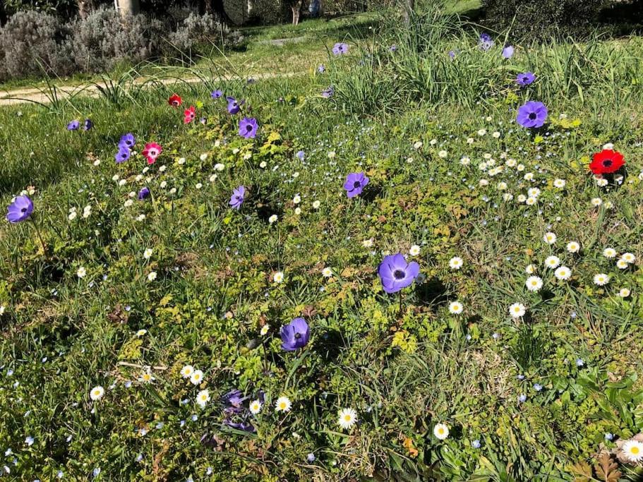 시에나 La Vigna Agriturismo 빌라 외부 사진