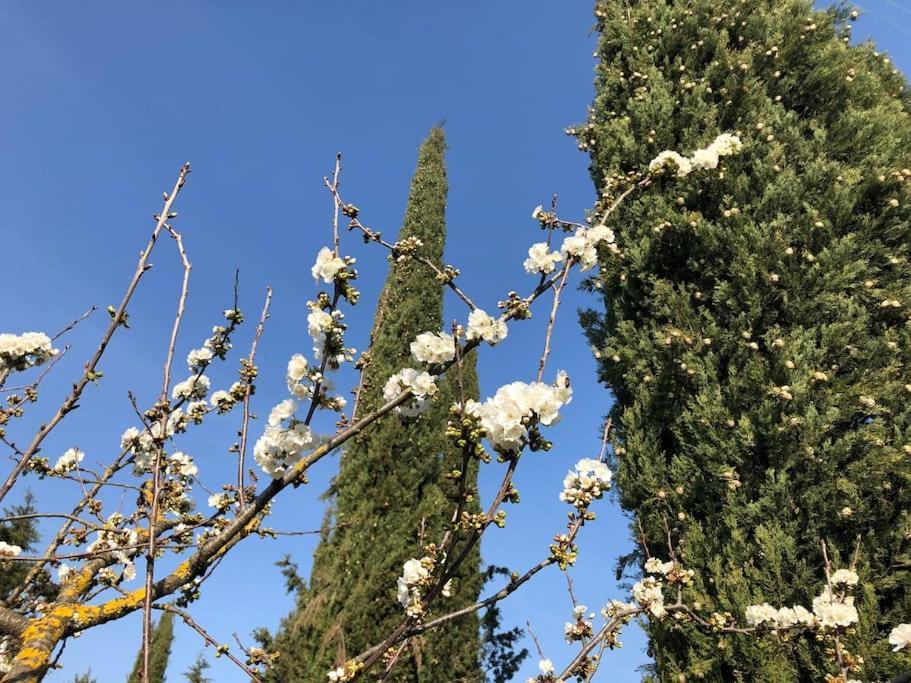 시에나 La Vigna Agriturismo 빌라 외부 사진