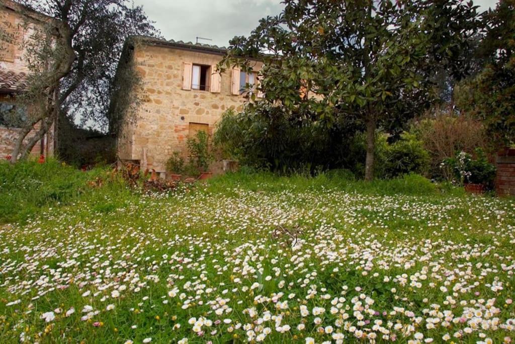 시에나 La Vigna Agriturismo 빌라 외부 사진